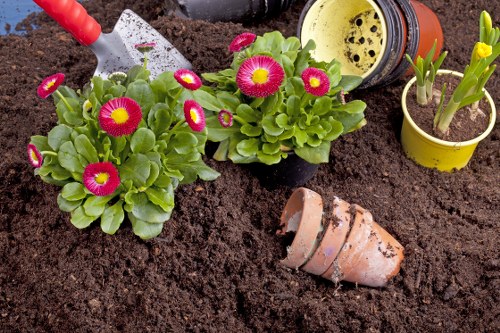 Professional garden clearance service in Cleaners N10