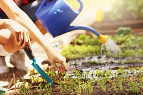 Various types of garden fences in a Cleaners N10 garden setting