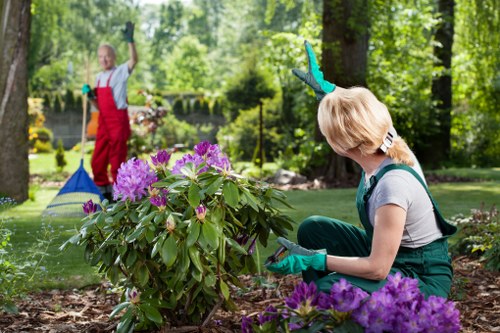 Professional landscaper designing a garden in Cleaners N10