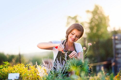 Team of landscapers working on a Cleaners N10 property
