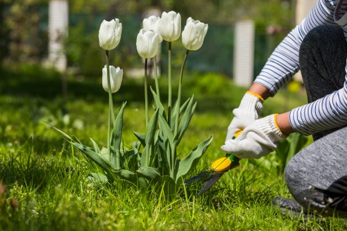 Professional tree cutting service in Cleaners N10