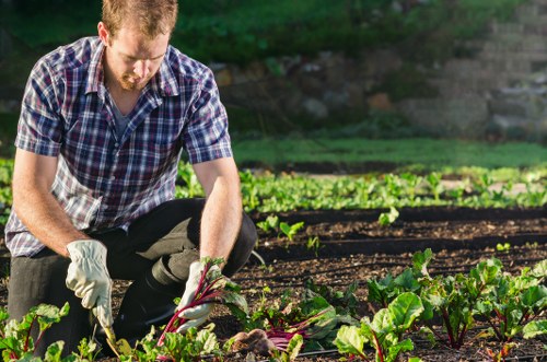 Professional gardener working on a beautiful Cleaners N10 garden