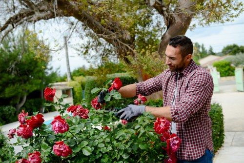 Expert planting and landscaping services by Cleaners N10 gardeners