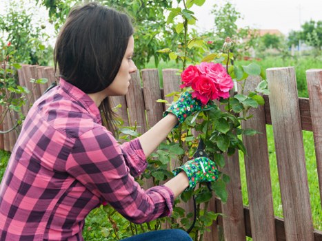 Landscaping tools and materials used by Cleaners N10 professionals
