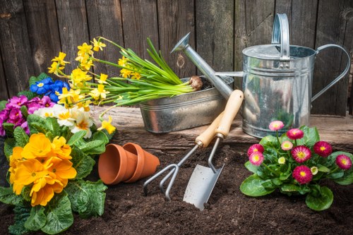 Choosing a reliable stump grinding service in Cleaners N10