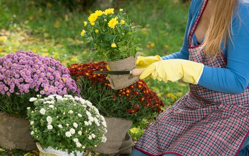 Professional pressure washing service in Cleaners N10