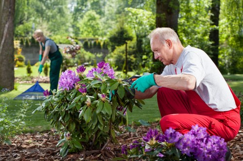 Eco-friendly pressure washing process ensuring environmental safety