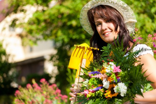 Professional gutter cleaning service