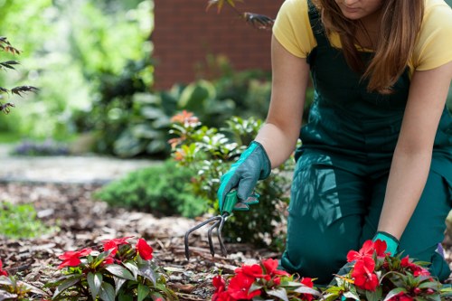 Maintaining and repairing garden fences in Cleaners N10