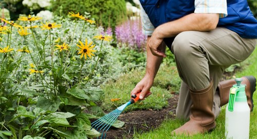 Eco-friendly pressure washing process