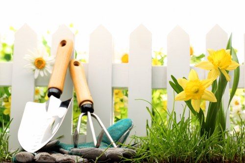Professional landscapers designing an outdoor space