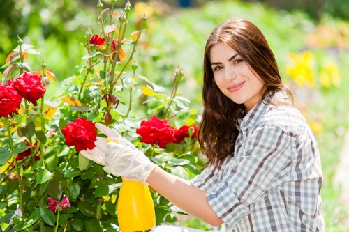Experienced landscape gardeners reviewing a project portfolio
