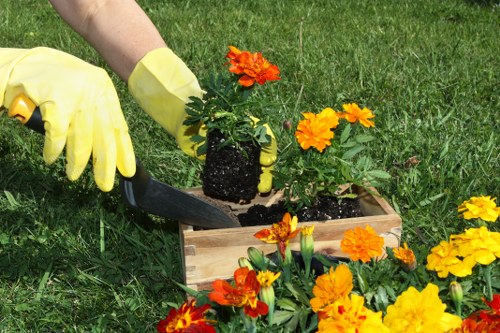 Close-up of hedge trimmer blades
