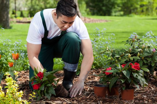 Choosing the right lawn mowing service