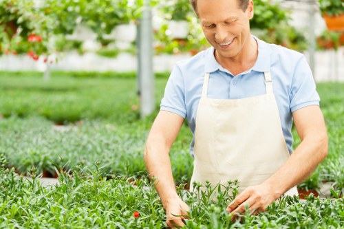 Advanced lawn mowing equipment