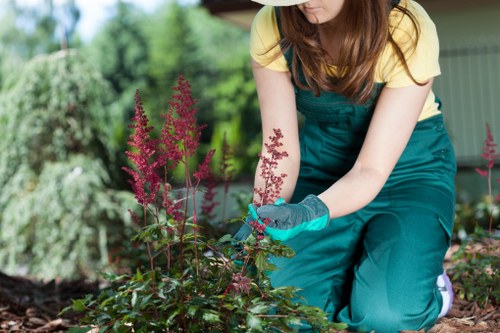 Eco-friendly pressure washing solutions for businesses