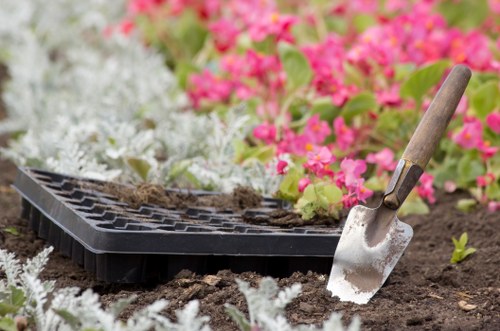 Seasonal lawn care tips for a pristine lawn