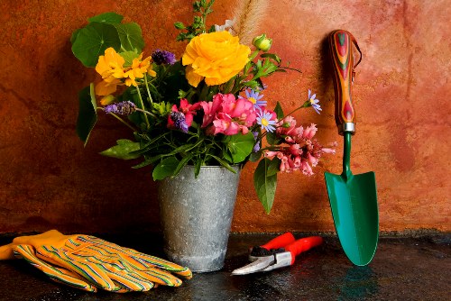 Various types of garden fences available in Cleaners N10