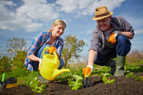 Eco-friendly patio cleaning agents being applied