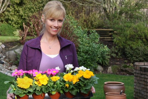Selection of native plants for sustainable landscape gardening in Cleaners N10