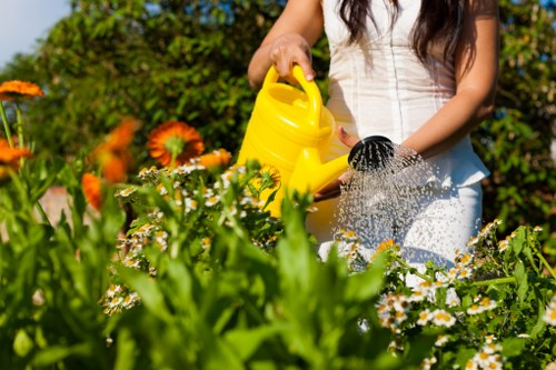 Eco-friendly garden clearance and disposal methods