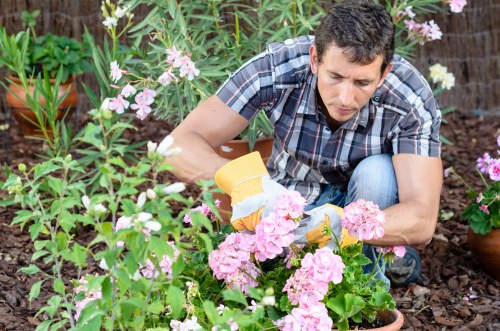 Eco-friendly pressure washing solutions