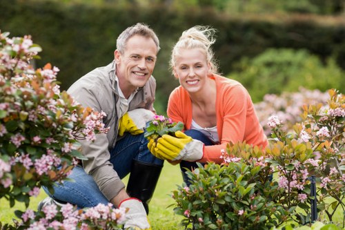 Eco-friendly cleaning products for patios